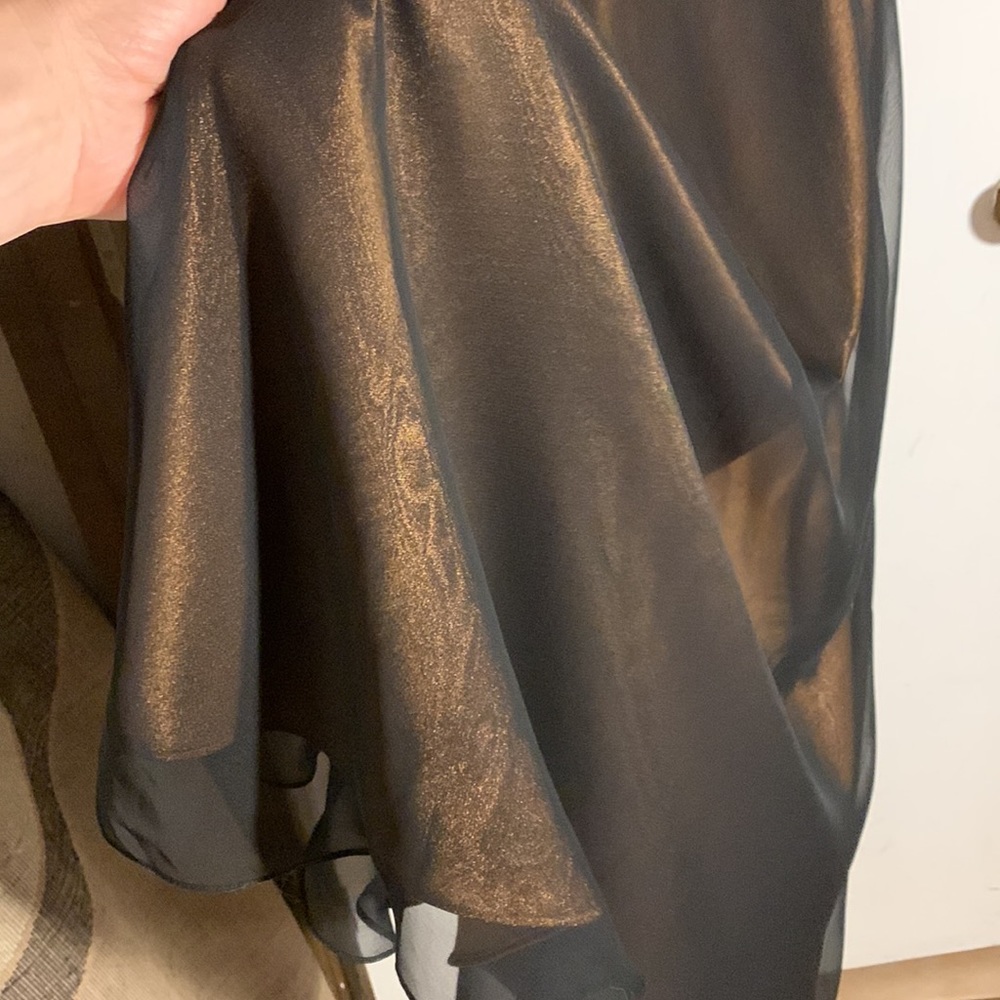 Cache Prom/Evening Gown, Size 4 - image 4